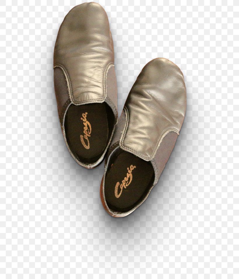 Slipper Slip-on Shoe Child Washington, PNG, 680x958px, Slipper, Brown, Building, Character, Child Download Free