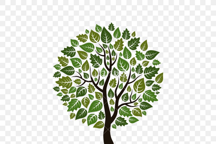 Tree Clip Art, PNG, 550x550px, Tree, Arboles Trees, Branch, Flora, Green Download Free