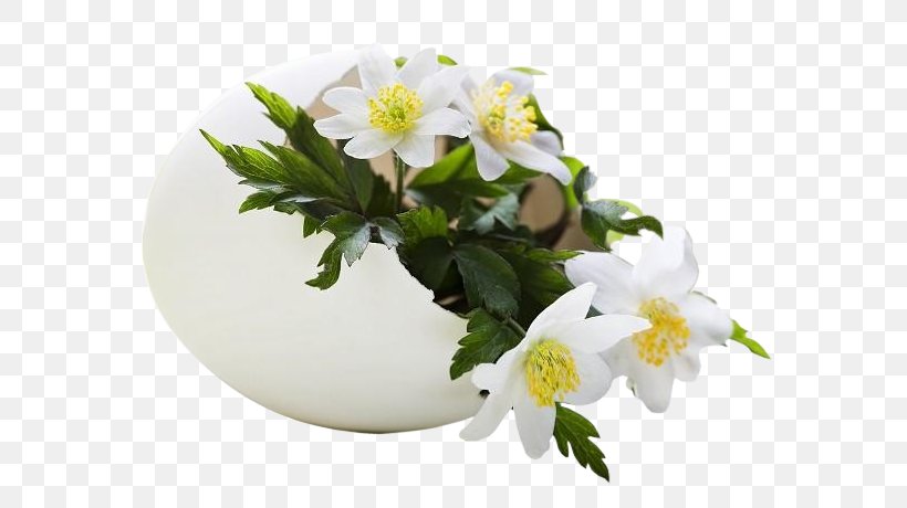 Easter Egg GIF Palm Sunday Holy Week, PNG, 704x460px, Easter, Animation, Blog, Blossom, Branch Download Free