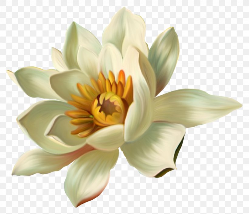 Flower Nelumbo Nucifera Clip Art, PNG, 1024x879px, Flower, Color, Floral Design, Flowering Plant, Nelumbo Nucifera Download Free