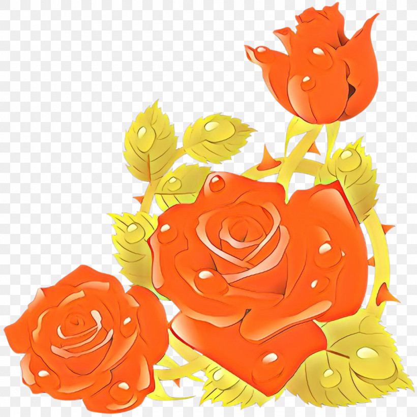 Garden Roses, PNG, 1024x1024px, Orange, Cut Flowers, Flower, Garden Roses, Petal Download Free