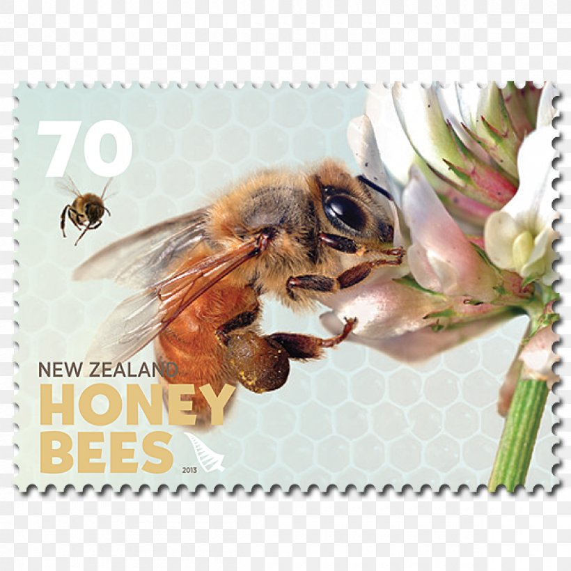 Honey Bee New Zealand Postage Stamps, PNG, 1200x1200px, Honey Bee, Arthropod, Bee, Beekeeper, Beekeeping Download Free