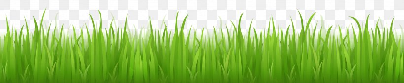 Lawn Grass Adobe Illustrator, PNG, 3333x688px, Green, Color, Data, Door, Grass Download Free