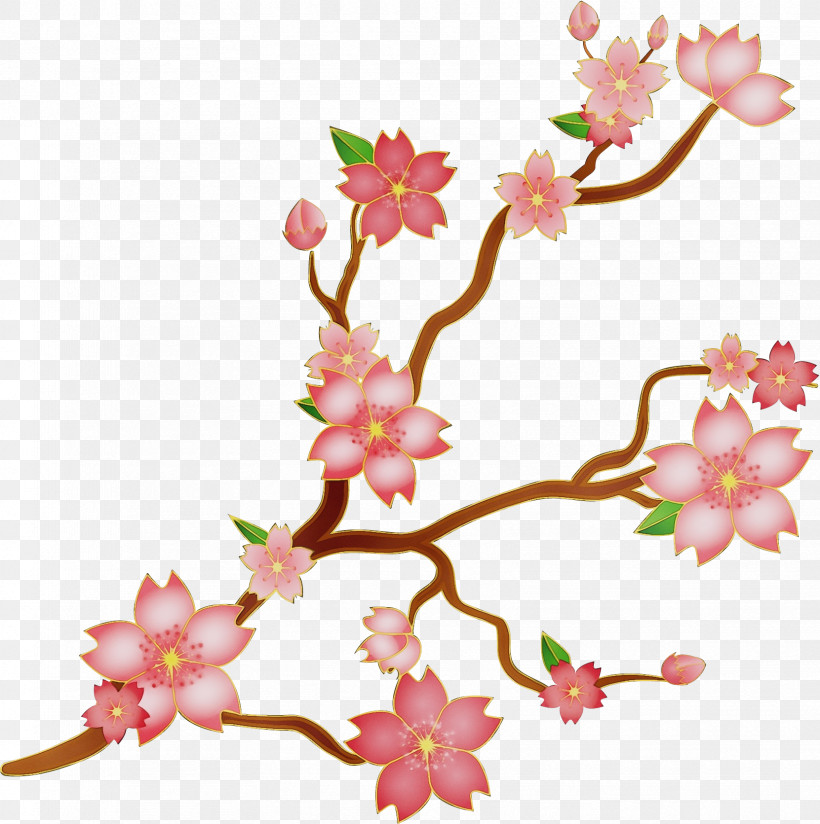 Cherry Blossom, PNG, 1661x1671px, Watercolor, Blossom, Branch, Cherry Blossom, Flower Download Free