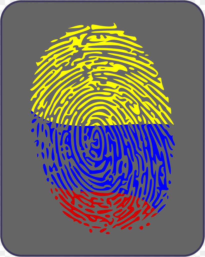 Fingerprint Forensic Science Clip Art, PNG, 1920x2400px, Fingerprint, Finger, Forensic Science, Image File Formats, Image Scanner Download Free