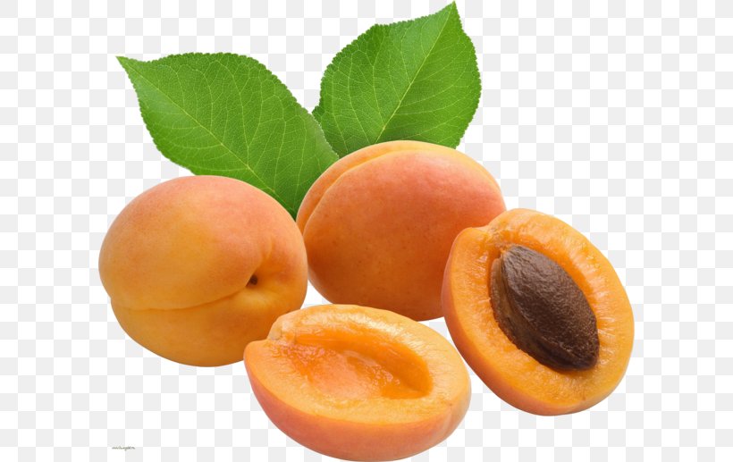 Gelatin Dessert Apricot Prunus Mandshurica Vaisiaus Kauliukas, PNG, 600x517px, Gelatin Dessert, Amygdaloideae, Apricot, Auglis, Diet Food Download Free