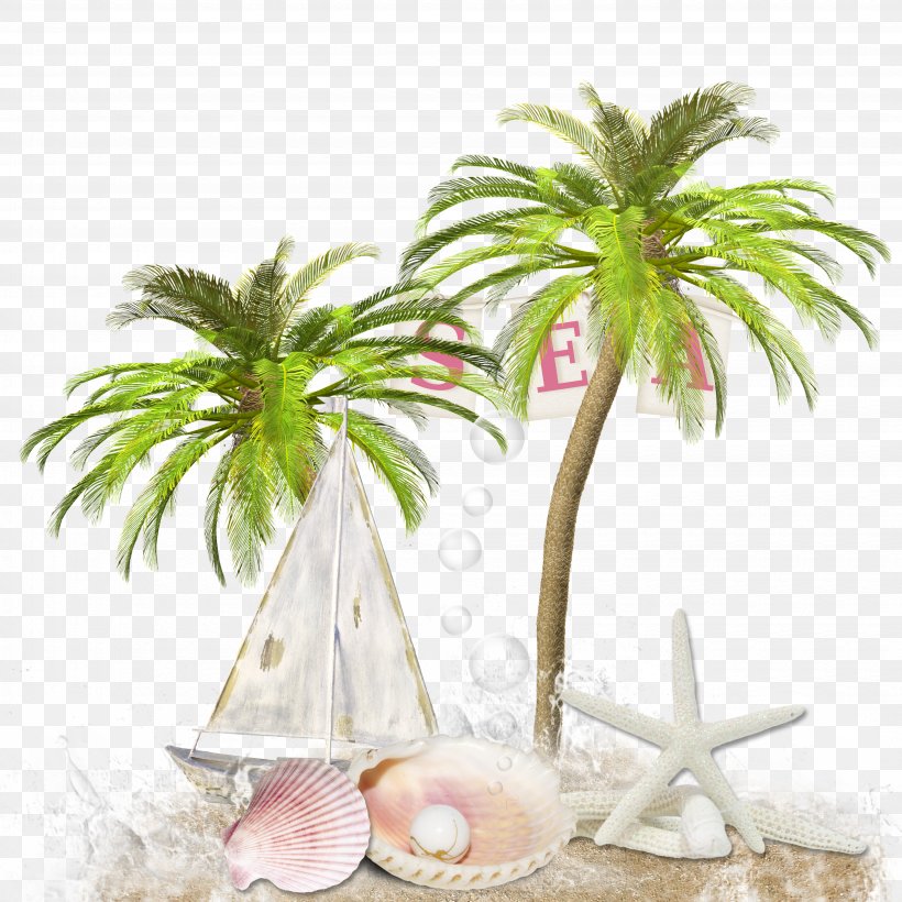 Picture Frame Photography, PNG, 3700x3700px, Picture Frame, Arecales, Beach, Coconut, Flowerpot Download Free