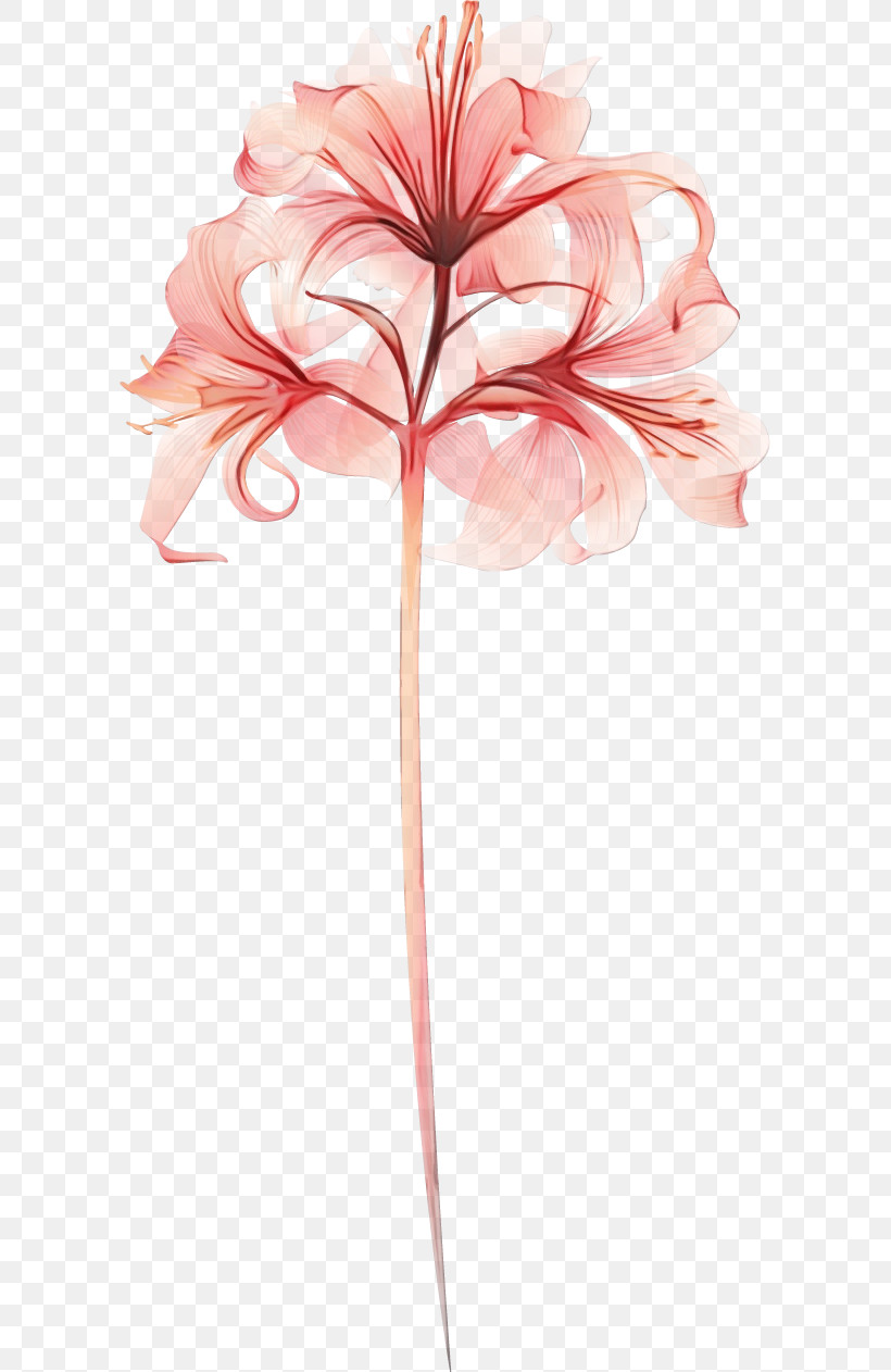 Floral Design, PNG, 599x1262px, Lily Flower, Biology, Cut Flowers, Floral Design, Flower Download Free