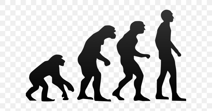 Neanderthal Homo Sapiens Human Evolution Ape, PNG, 620x430px, Neanderthal, Adaptation, Ape, Bipedalism, Charles Darwin Download Free
