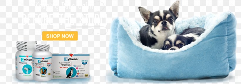 Pet Chihuahua Stock Photography, PNG, 1140x400px, Pet, Brand, Cat, Chihuahua, Dog Download Free
