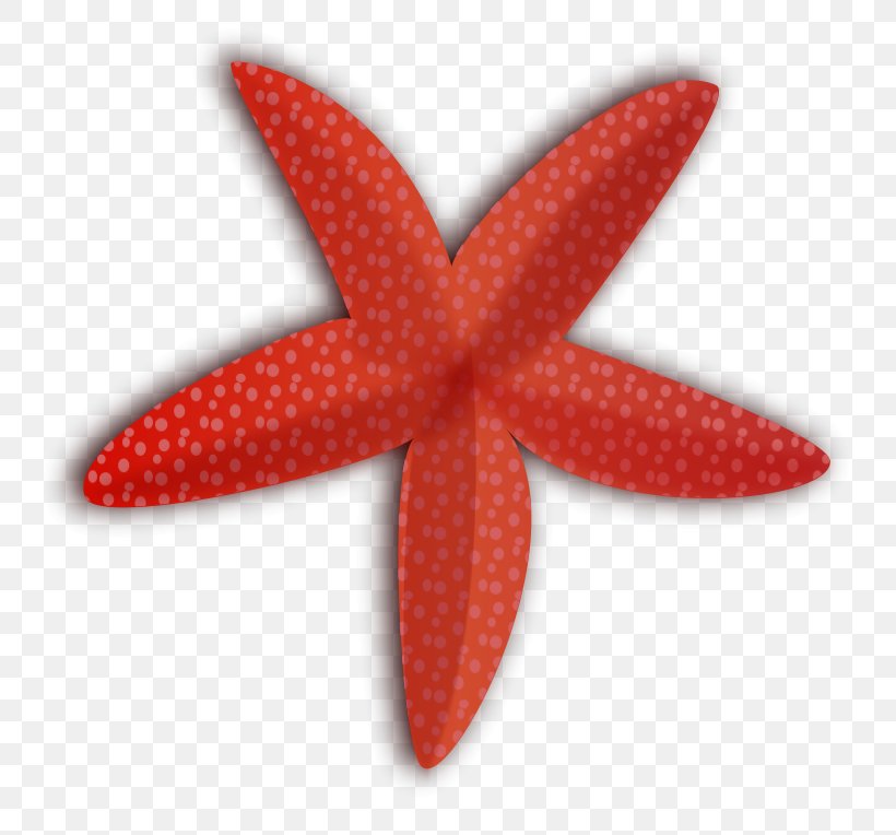 Starfish Free Clip Art, PNG, 800x764px, Starfish, Copyright, Echinoderm, Free, Free Content Download Free