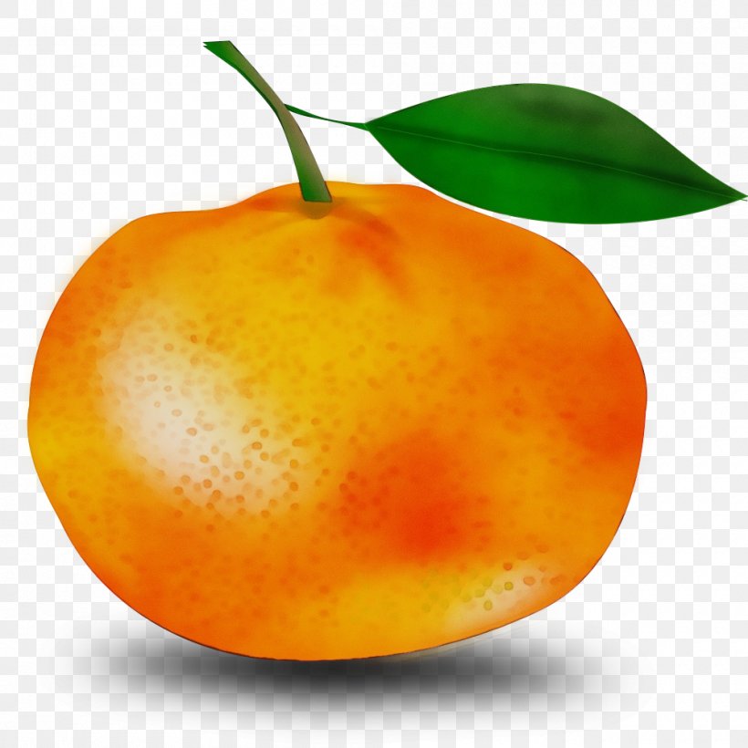 Orange, PNG, 1000x1000px, Watercolor, Accessory Fruit, Food, Fruit, Natural Foods Download Free