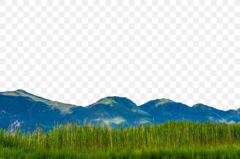 Biome Grassland Ecoregion Sky Wallpaper, PNG, 820x544px, Biome, Computer, Daytime, Ecoregion, Ecosystem Download Free