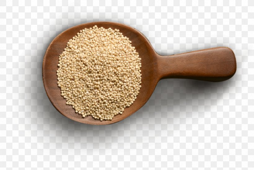 Cereal Millet Grain Ingredient Broom-corn, PNG, 867x580px, Cereal, Antioxidant, Bran, Broomcorn, Commodity Download Free
