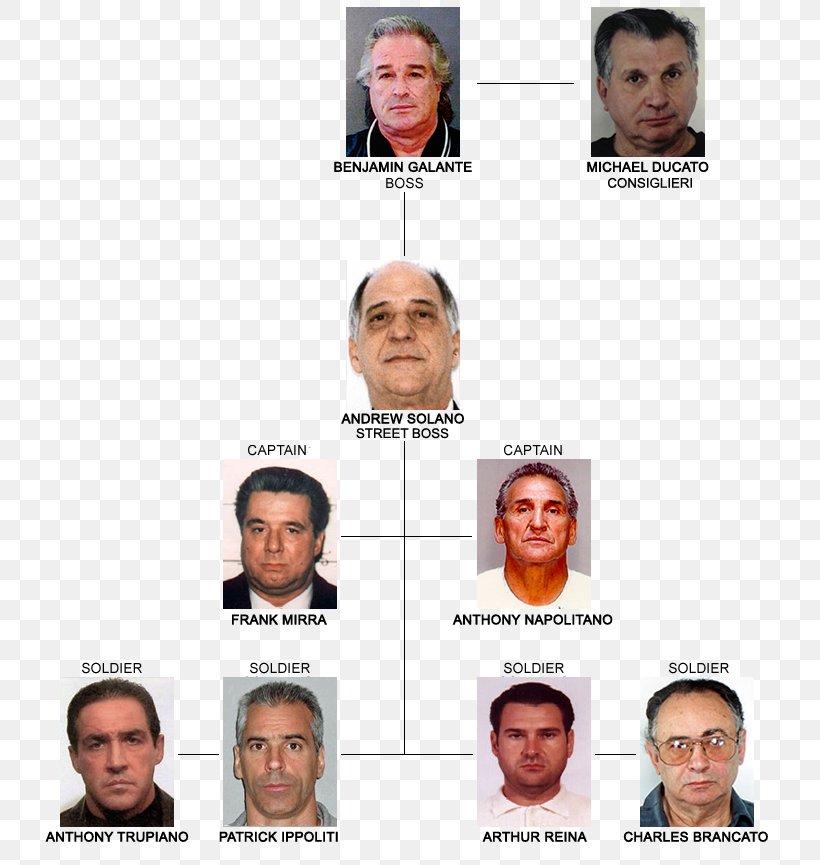 Crime Family Brott Organized Crime Chin, PNG, 732x865px, Crime Family, Brott, Cheek, Chin, City Download Free