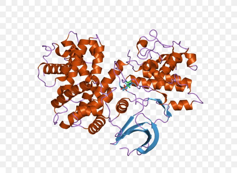 Cyclin B1 Cyclin-dependent Kinase 2, PNG, 800x600px, Cyclin B, Art, Cyclin, Cyclin A, Cyclin B1 Download Free