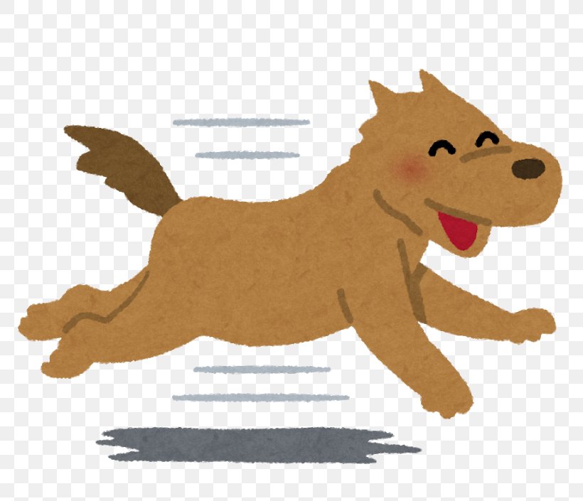 Italian Greyhound Puppy Veterinarian Dog Food, PNG, 800x705px, Italian Greyhound, Art, Carnivoran, Cartoon, Cat Like Mammal Download Free