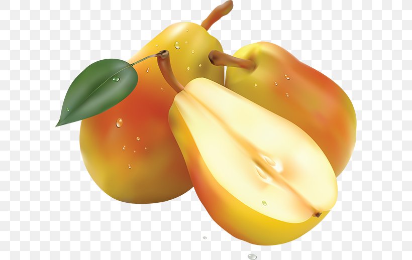 Pear Clip Art, PNG, 600x518px, Pear, Accessory Fruit, Apple, Bell Peppers And Chili Peppers, Diet Food Download Free