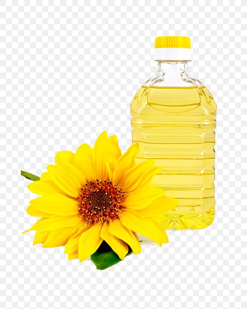 Common Sunflower Sunflower Oil Vegetable Oil Cooking Oil, PNG, 681x1024px, Oil, Bottle, Calendula, Common Sunflower, Cooking Oil Download Free