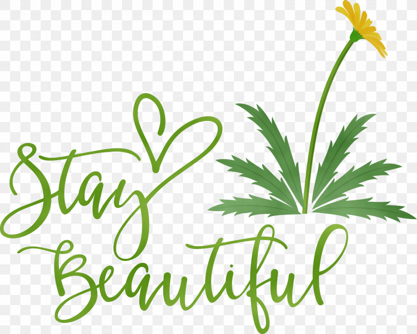 Leaf Plant Stem Flower Logo Herbal Medicine, PNG, 3000x2407px, Stay Beautiful, Fashion, Flower, Green, Herbal Medicine Download Free
