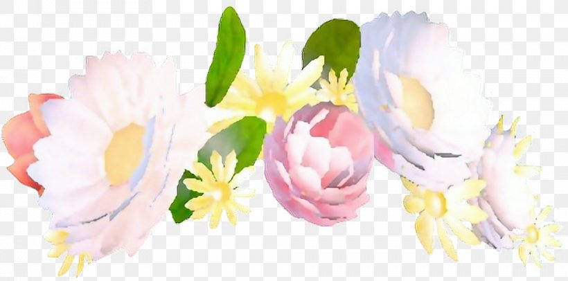 Flower Crown Wreath Snapchat Snap Inc., PNG, 984x488px, Flower, Art, Blossom, Clothing Accessories, Crown Download Free