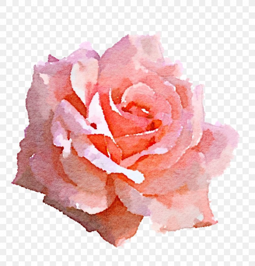 Light Rose Pink Clip Art, PNG, 958x1000px, Light, Carnation, Color, Cut Flowers, Floribunda Download Free