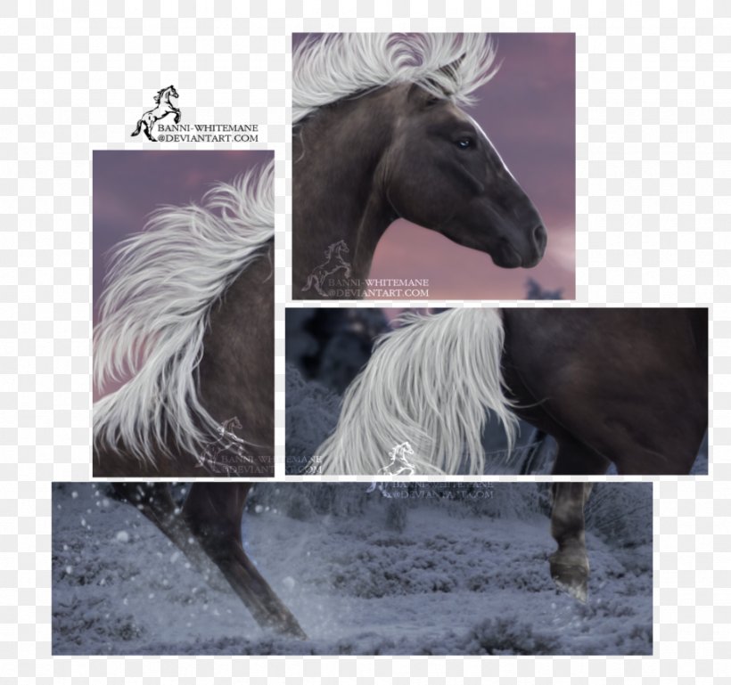 Mane Mustang Stallion Halter Rein, PNG, 923x866px, Mane, Fauna, Halter, Horse, Horse Like Mammal Download Free
