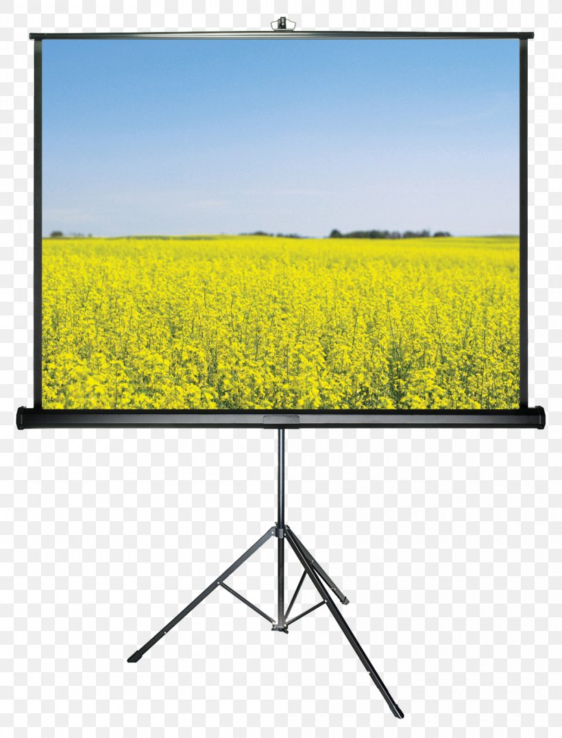 Projection Screens Multimedia Projectors Projector Wala Computer Monitors, PNG, 1000x1313px, Projection Screens, Computer Monitor, Computer Monitors, Digital Light Processing, Display Device Download Free