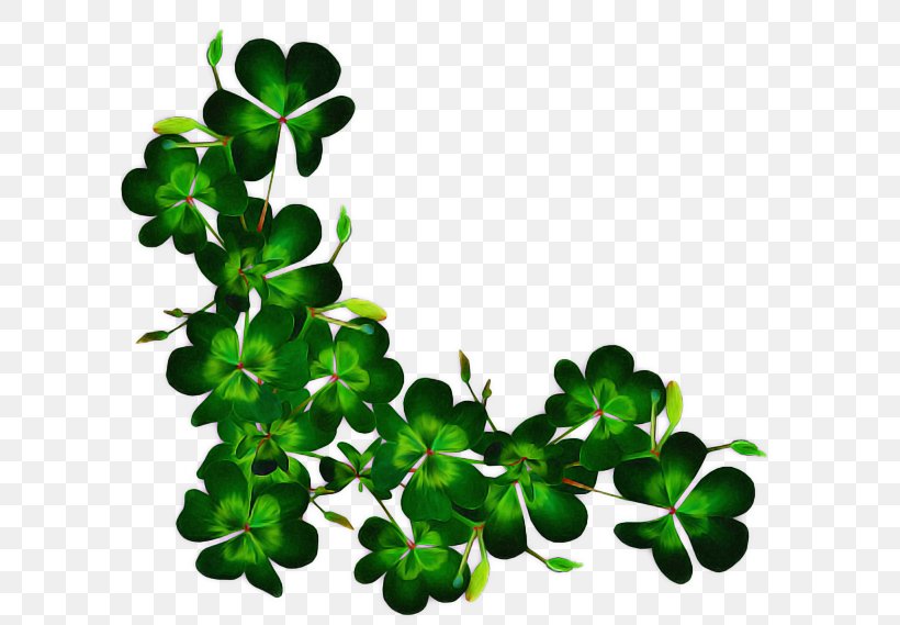 Saint Patricks Day, PNG, 600x569px, Leaf, Arctostaphylos Uvaursi, Autumn, Autumn Leaf Color, Branch Download Free