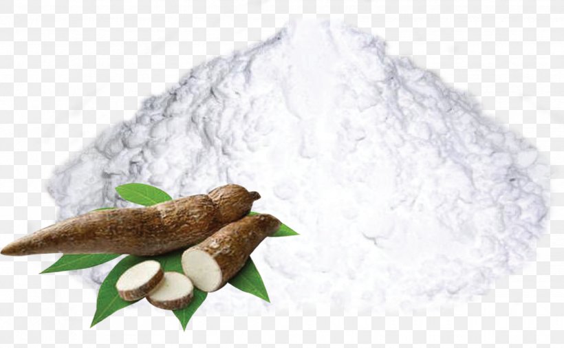 Cassava Starch Flour Tapioca Food, PNG, 1932x1194px, Cassava, Cassava Starch, Corn, Corn Starch, Flour Download Free