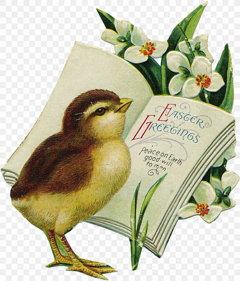 Easter Bunny Easter Egg Easter Postcard Clip Art, PNG, 839x982px, Easter Bunny, Beak, Bird, Christ, Christmas Download Free