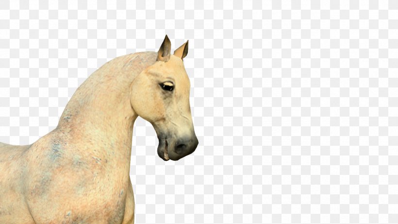 Flash Animation Horse Clip Art, PNG, 1280x720px, Animation, Adobe Flash, Animal, Animation Studio, Cartoon Download Free