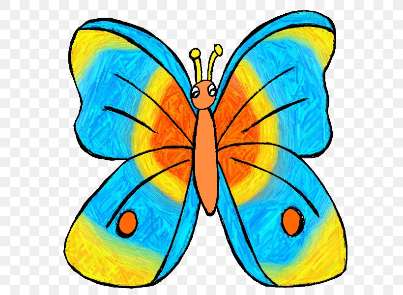 Amazon Rainforest Tropical Rainforest Clip Art, PNG, 621x600px, Amazon Rainforest, Animal, Area, Artwork, Brush Footed Butterfly Download Free