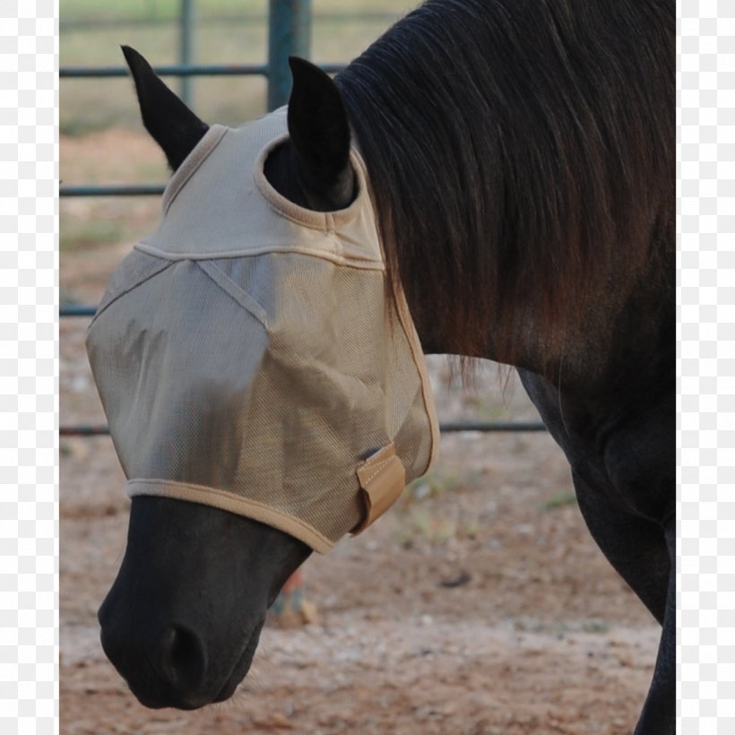 Horse Fly Mask Rein Insect, PNG, 1146x1146px, Horse, Bell Boots, Bridle, Clothing Accessories, Cowboy Download Free