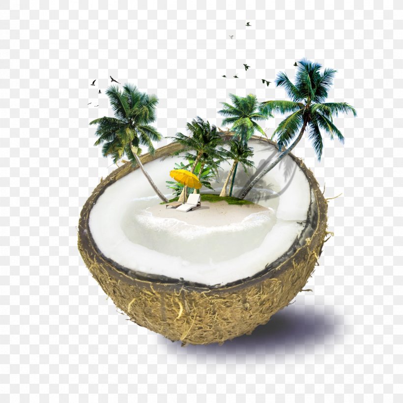 Fiji Weligama Coconut Water Beach, PNG, 1181x1181px, Fiji, Accommodation, Bar, Beach, Coconut Download Free