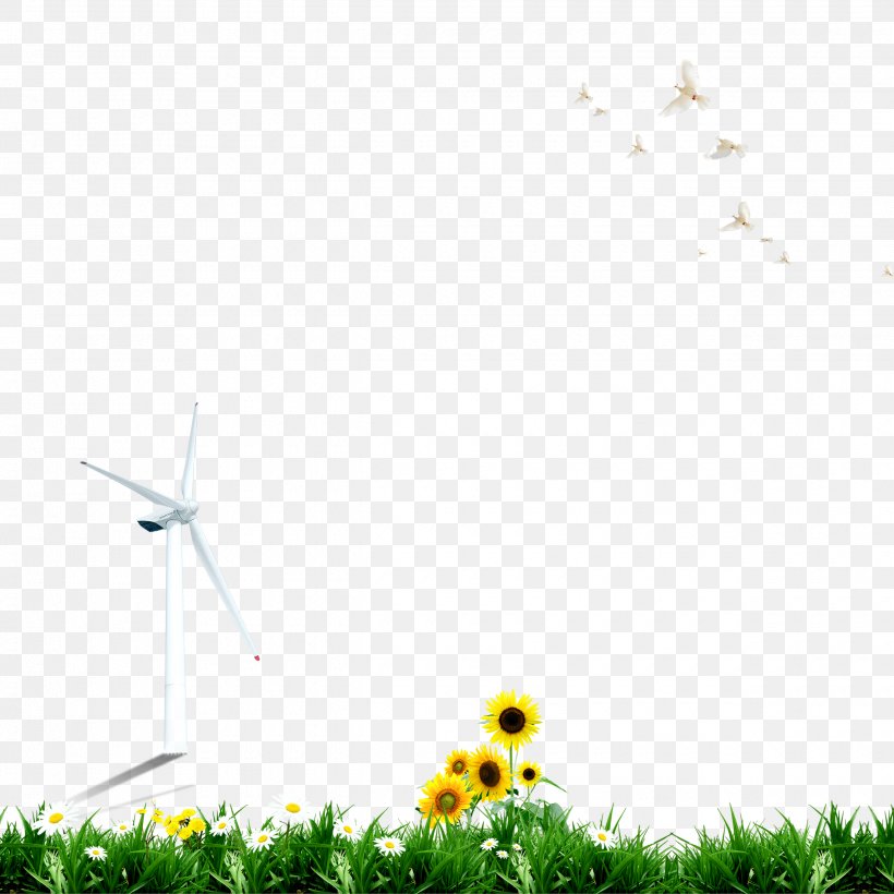 Lawn Wallpaper, PNG, 2480x2480px, Lawn, Columbidae, Common Sunflower, Computer, Grass Download Free