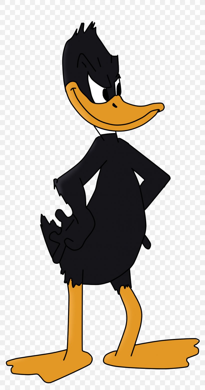Daffy Duck Elmer Fudd Looney Tunes Image, PNG, 900x1712px, Daffy Duck, Animated Cartoon, Baby Looney Tunes, Beak, Bird Download Free
