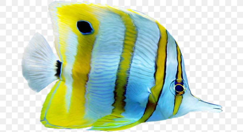 Fish Aquarium Clip Art Image, PNG, 685x446px, Fish, Animation, Aquarium, Beak, Clownfish Download Free