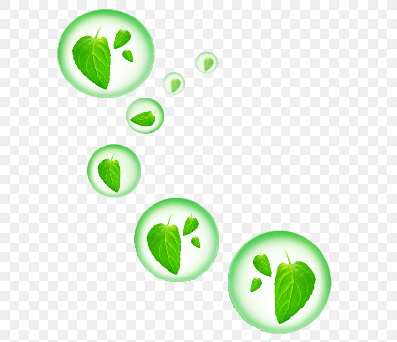 Green Environmental Protection Information, PNG, 600x705px, Green, Advertising, Drop, Environmental Protection, Fruit Download Free