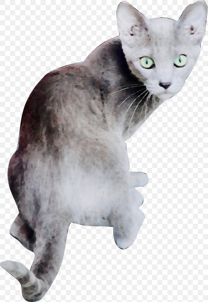 Cat Small To Medium-sized Cats Whiskers Oriental Shorthair Oriental Longhair, PNG, 1105x1600px, Watercolor, Cat, Oriental Longhair, Oriental Shorthair, Paint Download Free