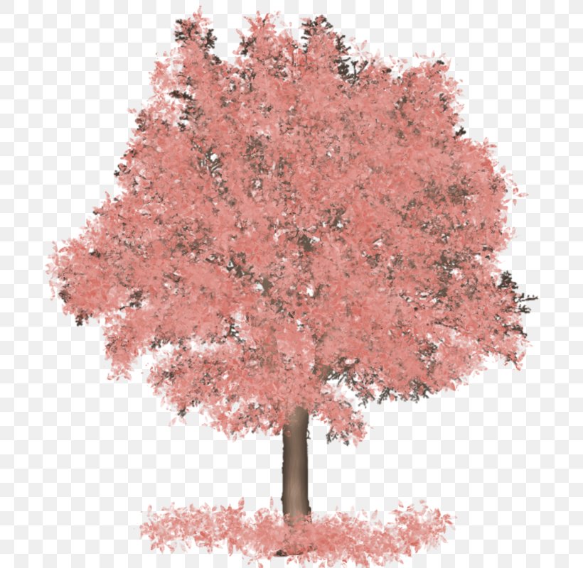 Maple Centerblog Tree Painting, PNG, 800x800px, Maple, Art, Blog, Centerblog, Cherry Blossom Download Free