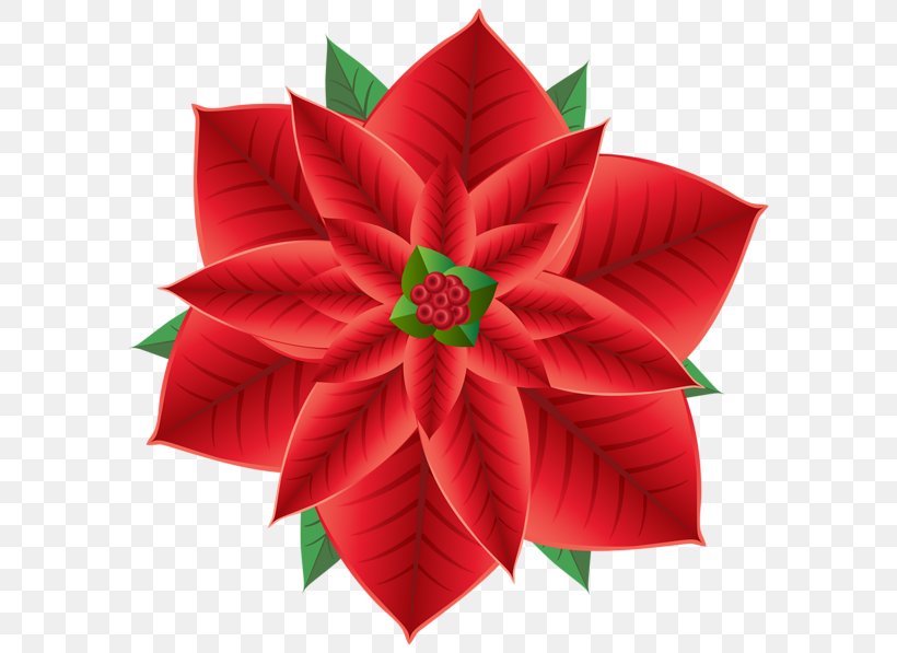 Poinsettia Christmas Decoration Flower Clip Art, PNG, 600x597px, Poinsettia, Art Paper, Christmas, Christmas Decoration, Christmas Ornament Download Free