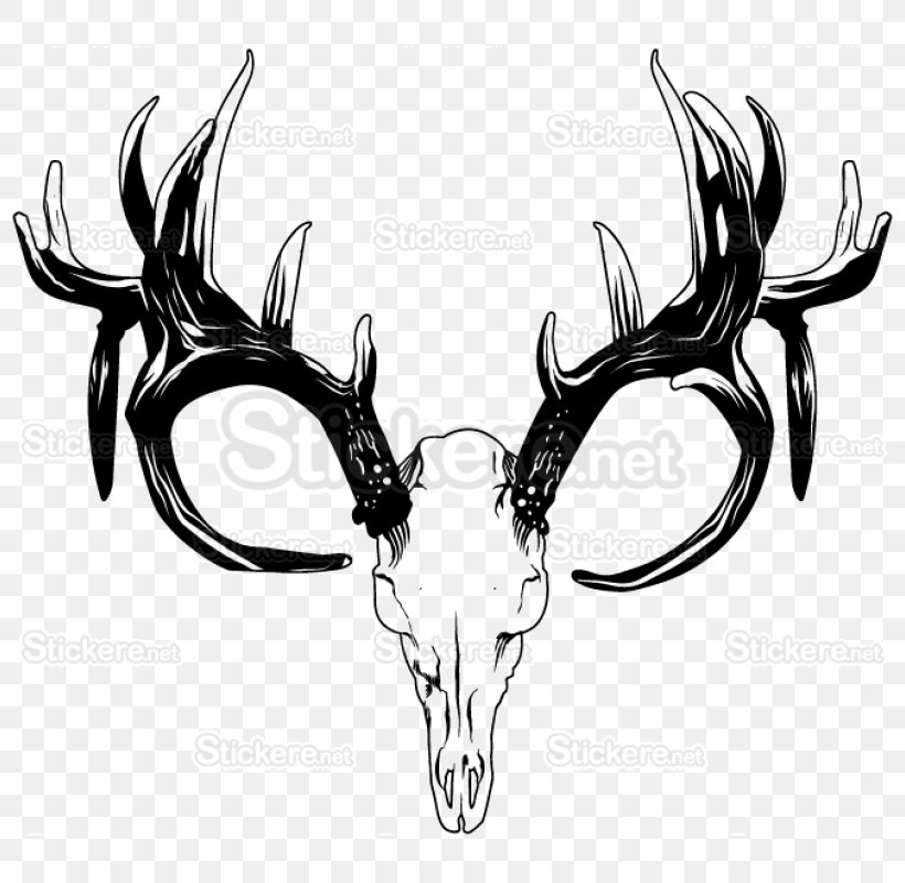 Reindeer Roe Deer White-tailed Deer Horn, PNG, 800x800px, Reindeer, Animal, Animal Product, Antler, Black And White Download Free