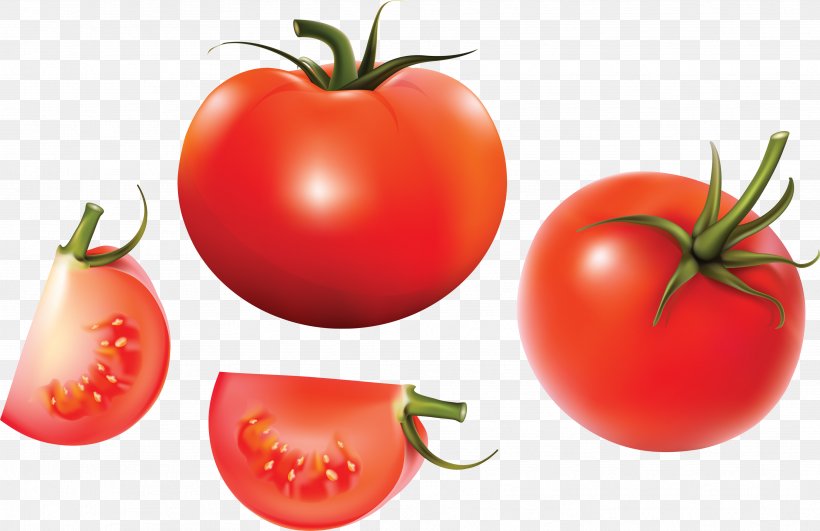 Tomato Clip Art, PNG, 3528x2287px, Tomato Soup, Bush Tomato, Cdr, Diet Food, Food Download Free
