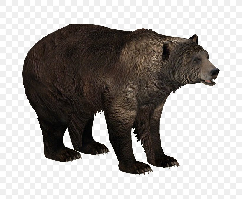 Zoo Tycoon 2 Brown Bear American Black Bear, PNG, 675x675px, Zoo Tycoon 2, American Black Bear, Animal, Bear, Brown Bear Download Free