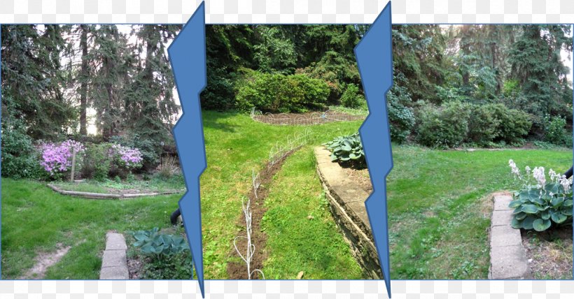 Backyard Property Grasses Fence Tree, PNG, 1195x625px, Backyard, Family, Fence, Flora, Garden Download Free