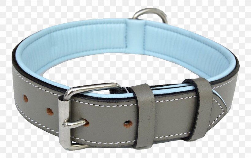 Dog Collar Leather Leash, PNG, 1500x945px, Dog, Bark, Blue, Bluegray, Collar Download Free