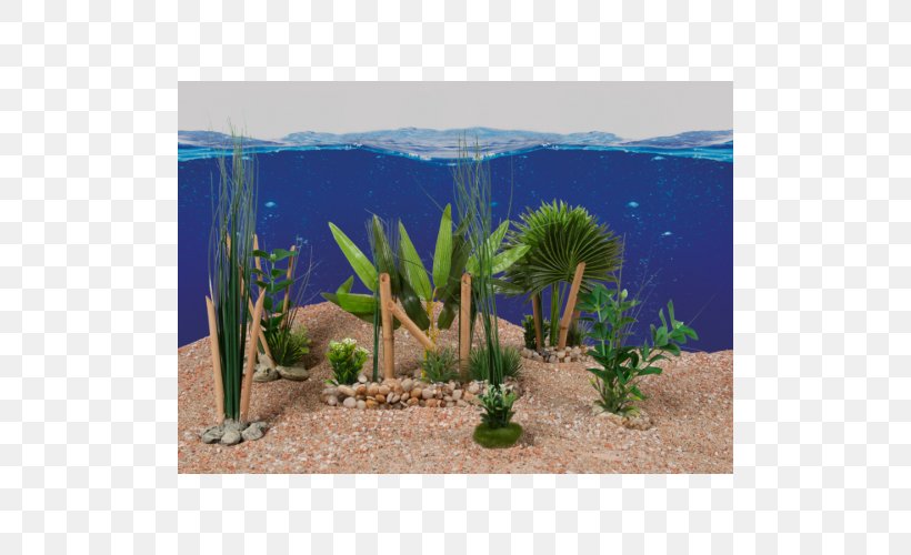 Majorelle Blue Majorelle Garden Aquarium Vegetation Biome, PNG, 500x500px, Majorelle Blue, Aquarium, Aquarium Decor, Aquatic Plant, Aquatic Plants Download Free