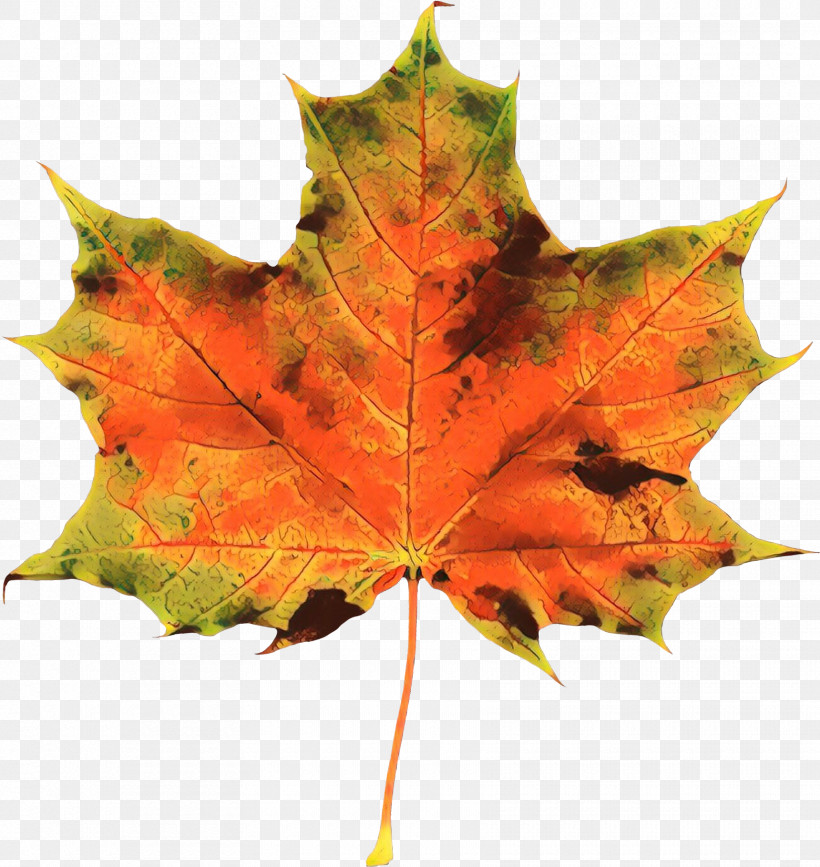 Maple Leaf, PNG, 1720x1819px, Leaf, Black Maple, Maple, Maple Leaf, Plane Download Free