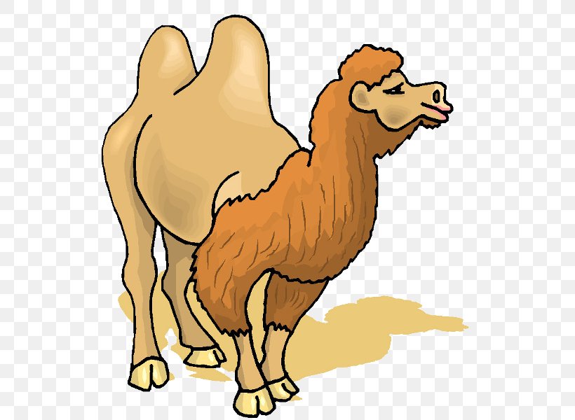 Bactrian Camel Clip Art, PNG, 600x600px, Bactrian Camel, Animal Figure, Arabian Camel, Artwork, Beak Download Free